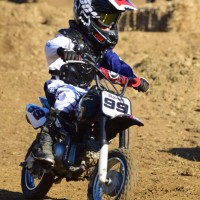 Brantley Stainer
