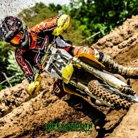 Tyler Snedden