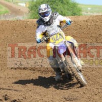 Tim Haley