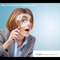 Tripi Detective Agency LLC