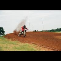 Harley King