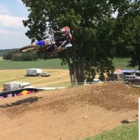 Brock  Stiener