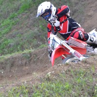 David Badiali