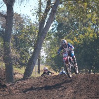 Jay Wilson