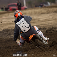 Dominic Tibberino