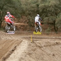 Cole Silva