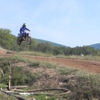 kollin wheeler