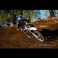 Tayler Bustillos