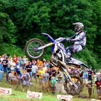 mitchell brewer