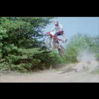 Lee #88 King