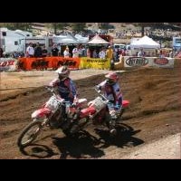 Brandon Fox