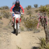 nolan denham