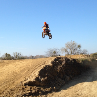 Josh Greene
