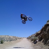 Mike Shoesmith