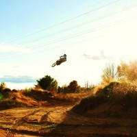 Michael Davison