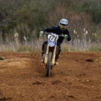 Brodie  Torok