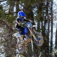 Levi Hogston