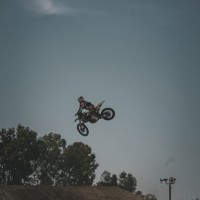 Porter  miller