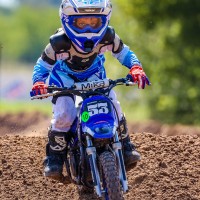 Ellis Halverson