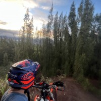 Casen Kaohelaulii