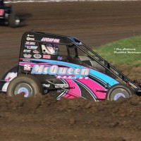 Shannon Webster