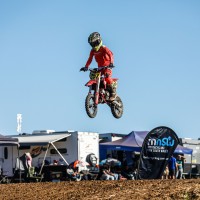 David  Fergus