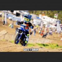 Nixon Ross