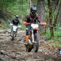 Coty Burress