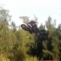 Koa  Vares