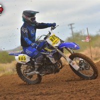 Harleigh Covey