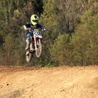 Trey Hamilton