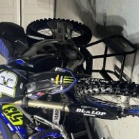 COLLIN SCHLEGEL
