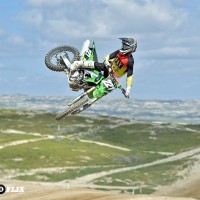 Preston White