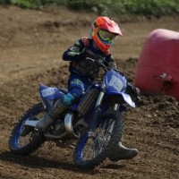 fulsenders_0710 komar