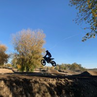 Cole  Sternzon