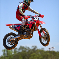 Dawson Stokes