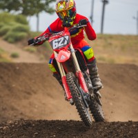 Dalton Harvey