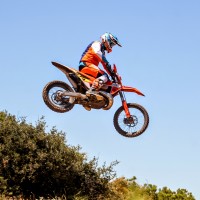 Matt Stewart