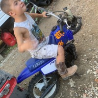 Colt  Willey