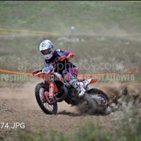 Donnie Heckel
