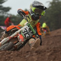 Luca  Andreoli