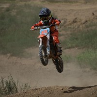 Knox Harper