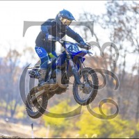 Colt Groves