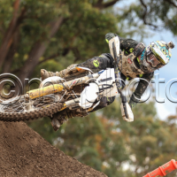 lachlan dent