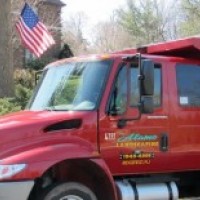 Alamo Landscaping