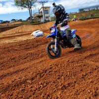 Levi Shelton