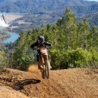 Logan angold