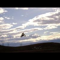 Shane Davis