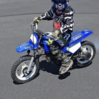 Maverick  Shute