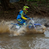Cody Bolt